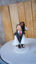 Picture of Piggy back Wedding Cake Topper, funny wedding topper
