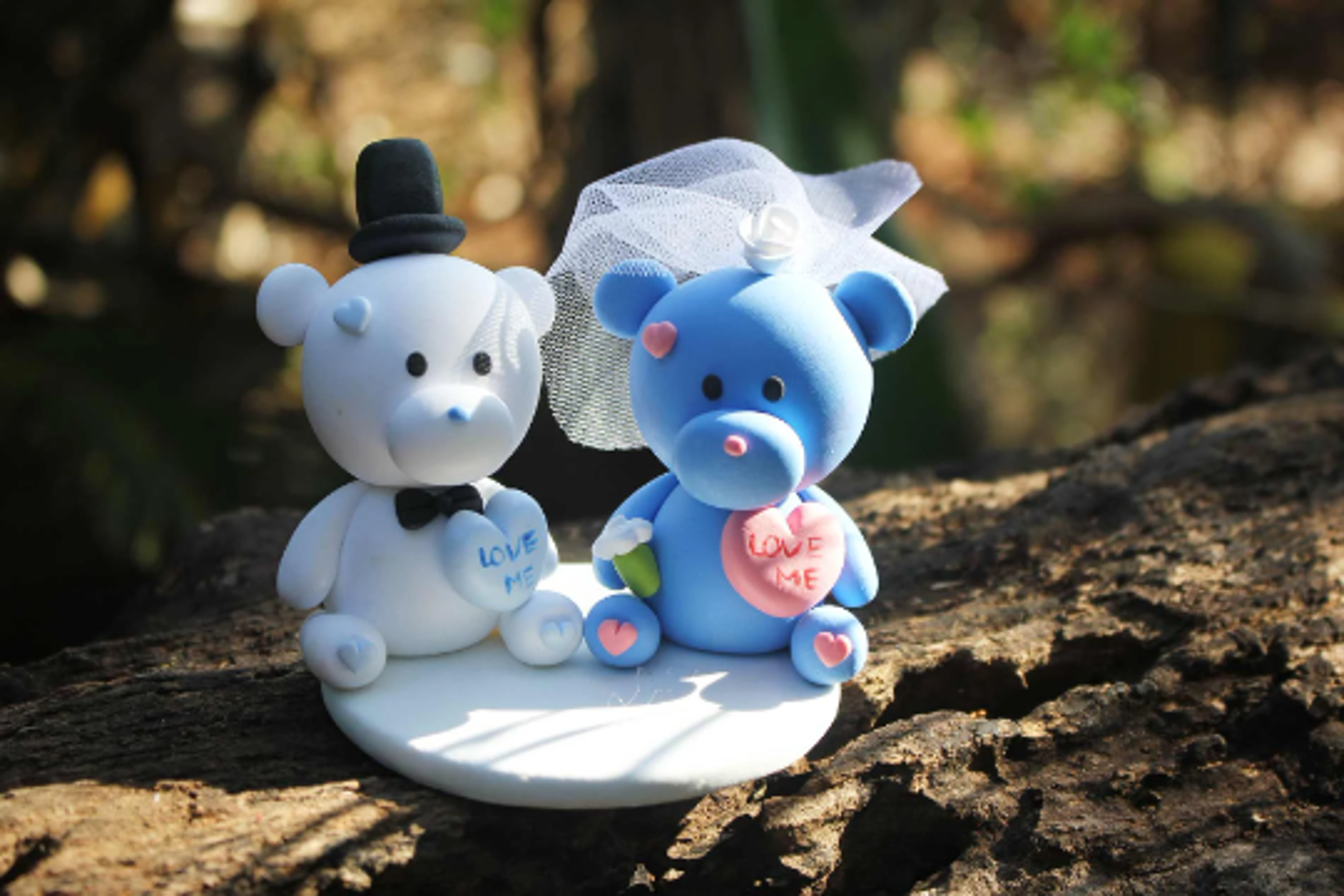 Picture of Teddy Bear Wedding Cake Topper