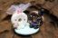 Picture of  Donut wedding cake topper, chocolate and vanilla wedding cake topper, baker wedding cake topper,