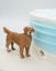 Picture of Custom dog wedding cake topper, Funny wedding cake topper